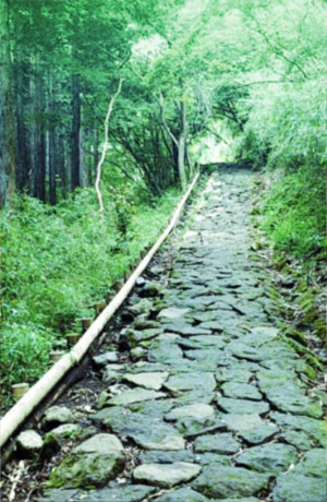 静逸な侘び寂び
